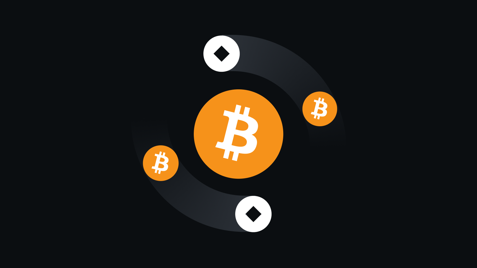 波比音乐官方正版